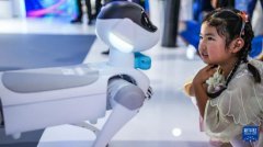 会中外专家交换的话题不难看出